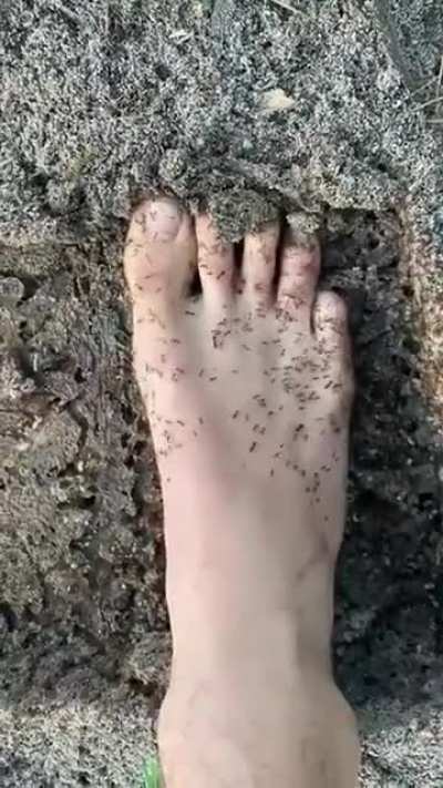 🦶