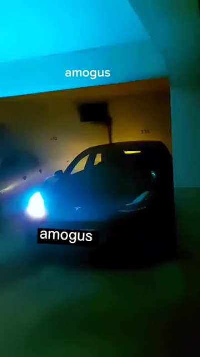 Amogus