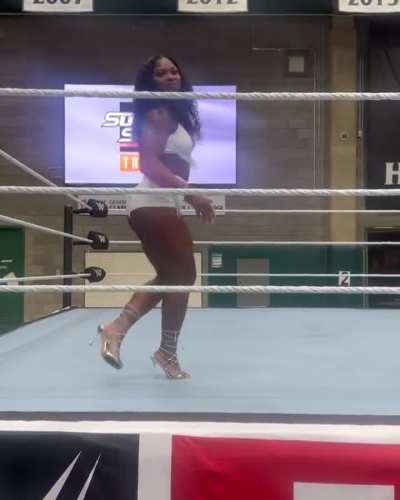 So I had a WWE TRYOUT!!