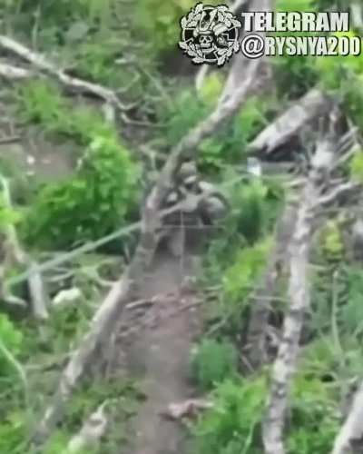 Compilation of recent FPV drone strikes against Russian soldiers, unknown location.
