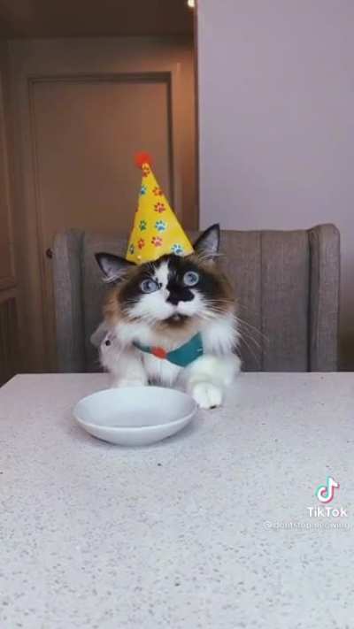 Where’s my cake though?