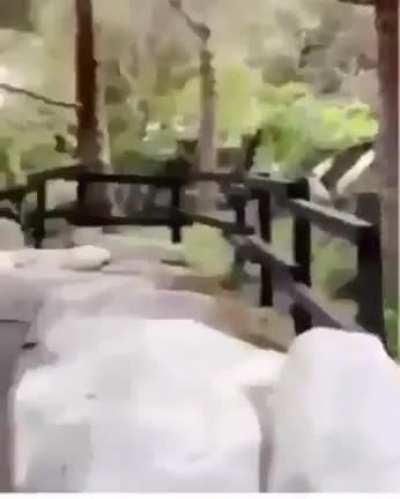 Watch for rock