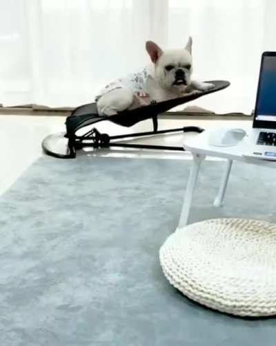 Don&rsquo;t mind me&hellip;just loungin&rsquo;