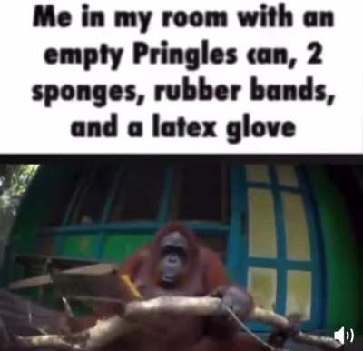 Rule