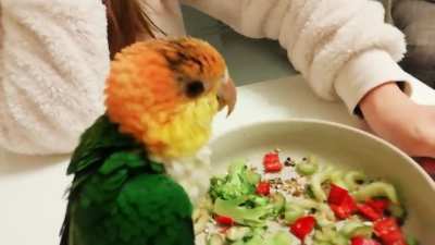 "Maru, eat your vegetables"