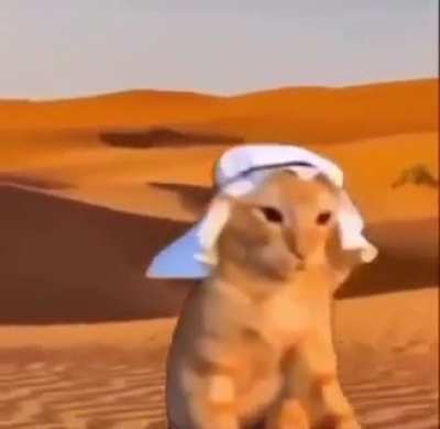 did you know in ancient egypt they used to worship wunki