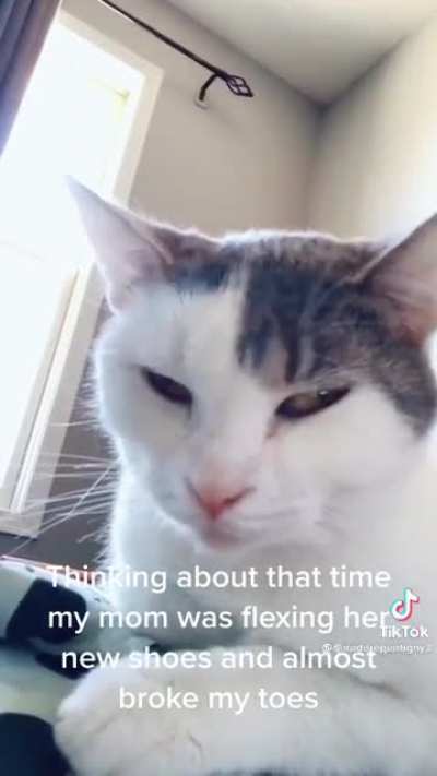 Nyaaaaaaaa