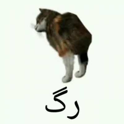 گگگگگگگگگ