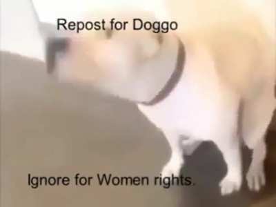 Ok