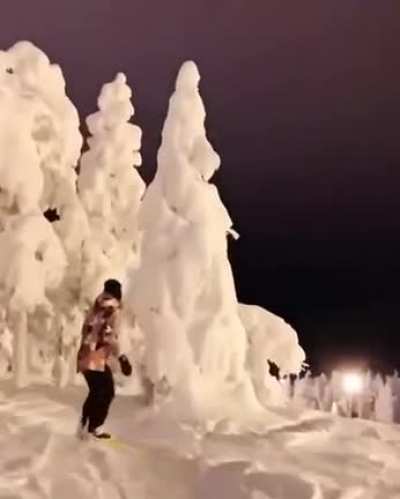 Зимняя сказка из Лапландии