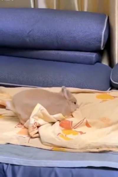 Jump forward, fall back, take a nap.