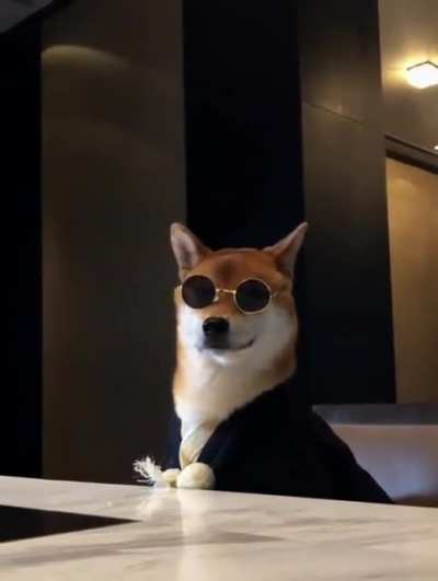 Doge Hodlers Knowing that they won this war👀💎🐾