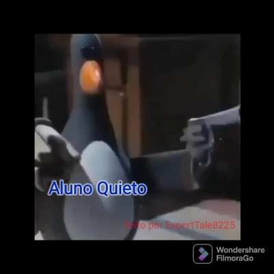 FIZ MEU PRIMEIRO MEME, ESPERO QUE GOSTEM (se puderem deixem dicas para mim nos coment&aacute;rios)