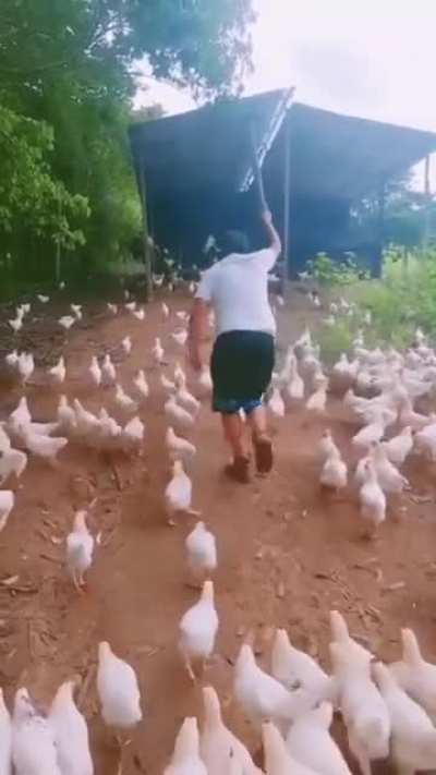 Supreme Gōng Tso of the Roaming Poultry Legion