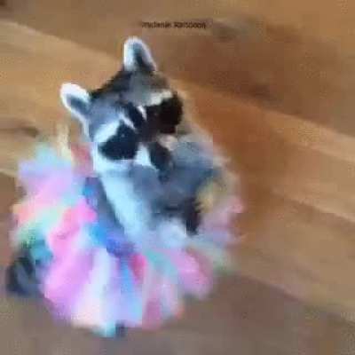 Transgirls coming out of their room to show off the new girls clothes they bought that day be like...