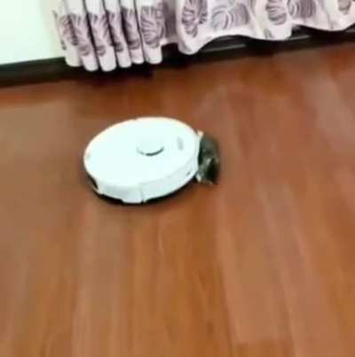 nooooooo