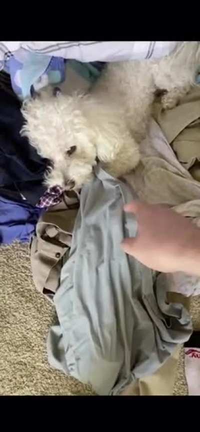 That&rsquo;s my shirt MUTHAFU-