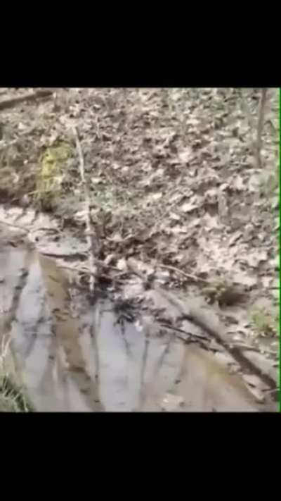 How he fall horizontally