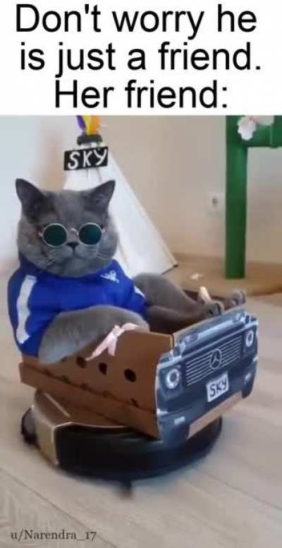 Cool dude tom