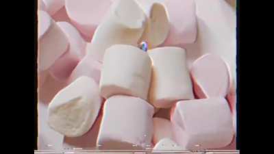 Marshmallow dog.