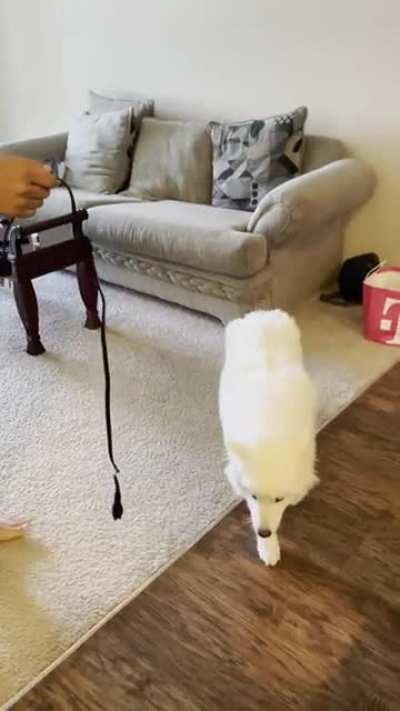 She&rsquo;s so guilty, but it&rsquo;s okay 😭
