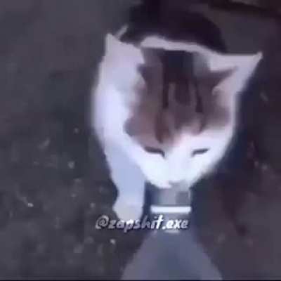 O t&iacute;tulo da dan&ccedil;ando