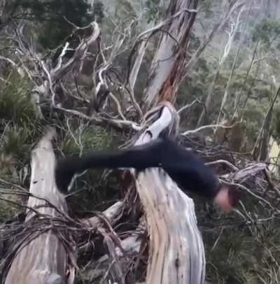 Hmmm