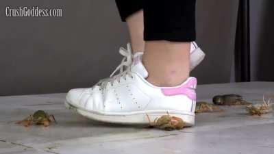 I have videos of women crushing in sneakers and boots, so message me if you&rsquo;re interested.