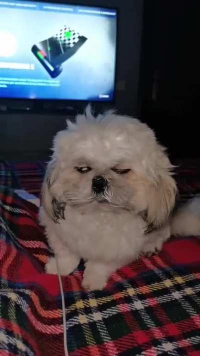 I am NOT tired