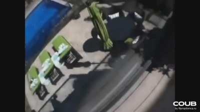 Как приучить кошку к водным процедурам?