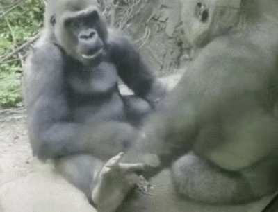 Mi Jefita: &iquest;Como te fue en el trabajo hoy mijito? Yo: Nada fuera de lo normal con los compas