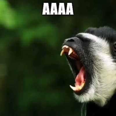 OOOO AAAA