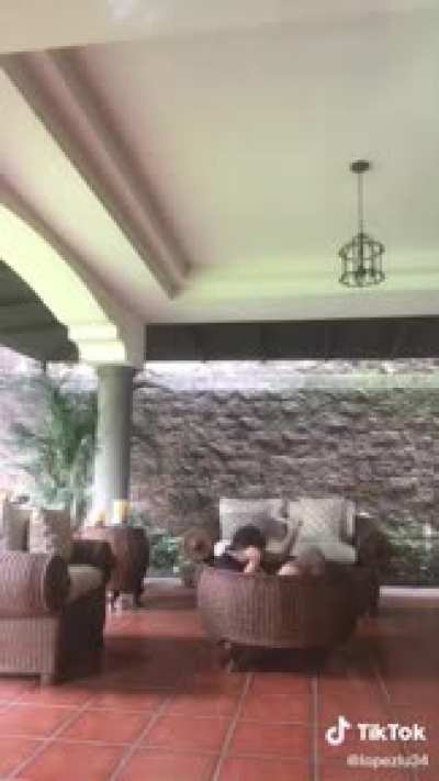 Waka Waka