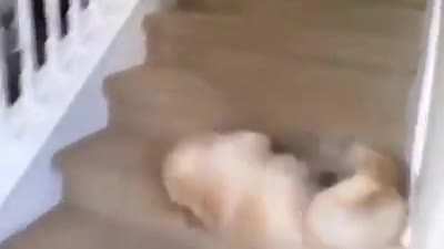 To use stairs.