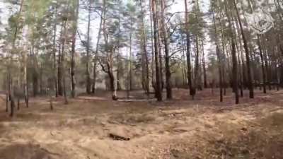 Ukrainian SOF successfully hunt ruzzian Tigrs
