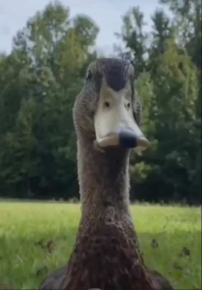 spooooned