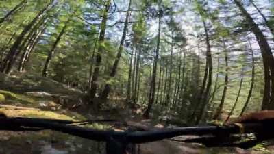 Wrong turn &eth;&acute;