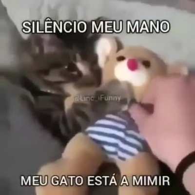Que duerman bien bandita