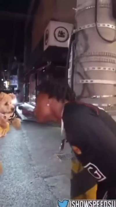 Sniffing a dog's nose
