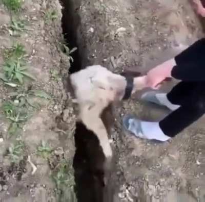 It is what it is