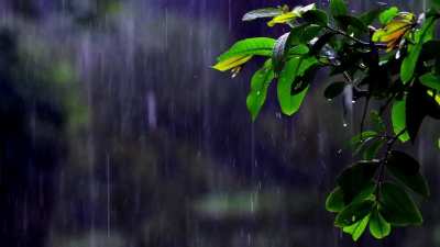 Relaxing Heavy Rain