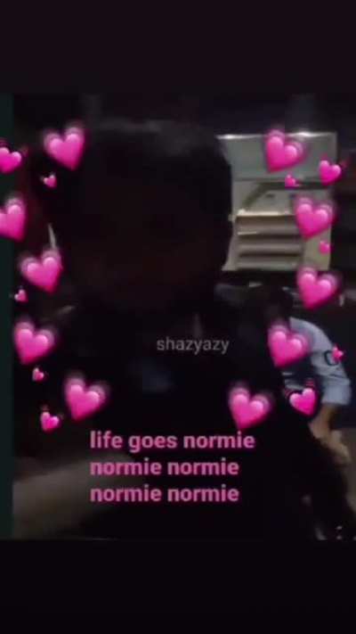 Normie ho kaam🤡