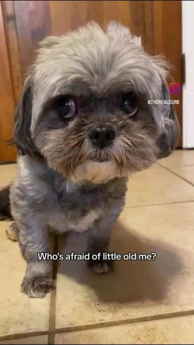 Fearsome beast
