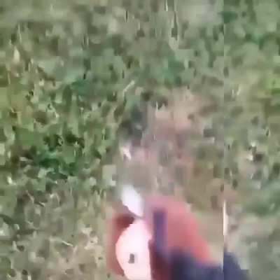 Gg dora