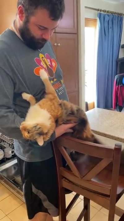She&rsquo;s learned the best way to get cuddles.