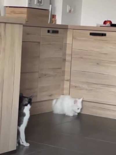 water&rsquo;s leaking through the cabinet