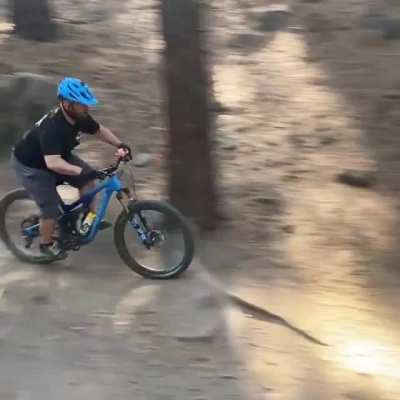 Argos is just over a year old and I&rsquo;m starting to realize he&rsquo;s half border collie, half Formula 1 car. This is 7 miles in on a mtn bike ride and he&rsquo;s outpacing me on a descent. Holy crap.