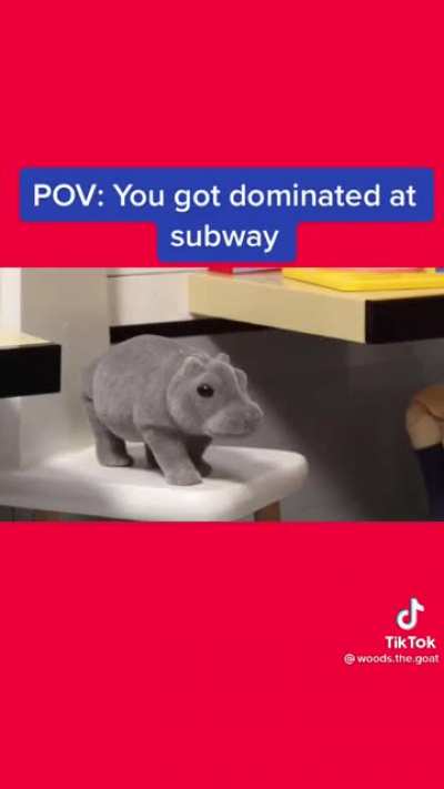I think the person that made this either really loves or really hates subway