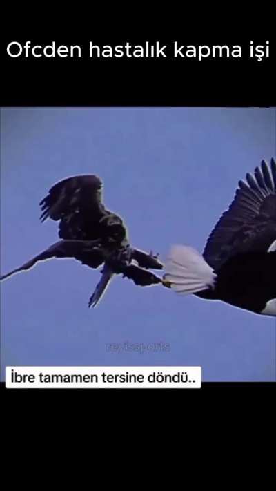 Her &ouml;ld&uuml;ğ&uuml;mde anırıyorum.