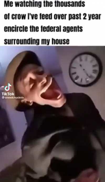 🎼